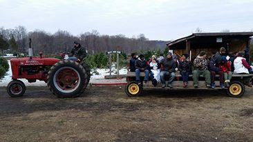 Maple Row Farm: farm photo