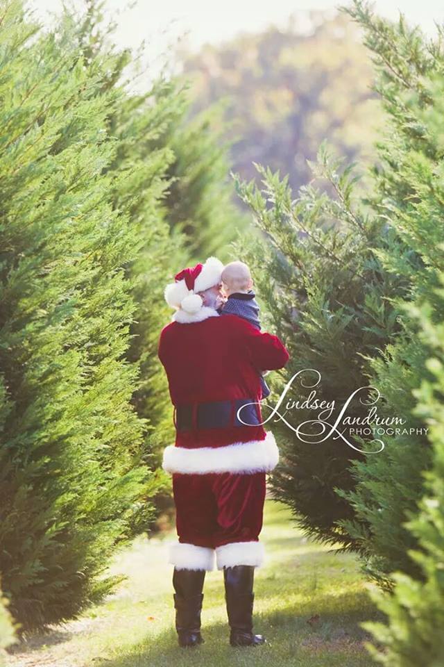 Papa Santa’s Christmas Tree Farm: farm photo