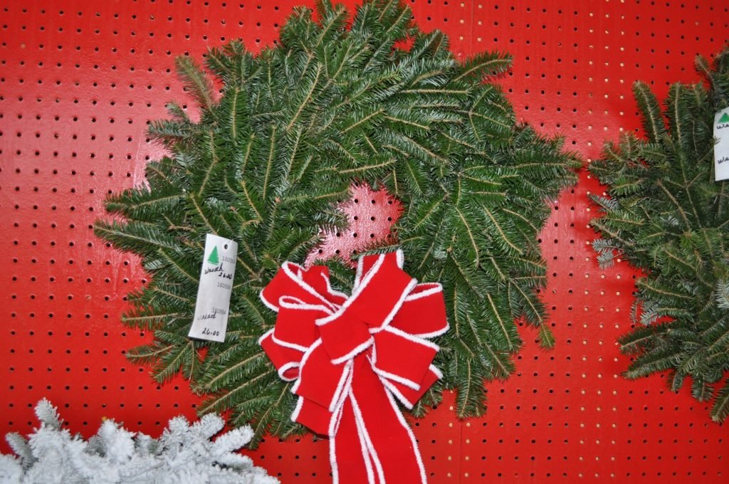 Beavers Christmas Tree Farm: farm photo