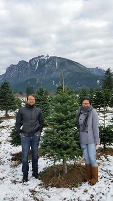 Crown Christmas Tree Farm: farm photo