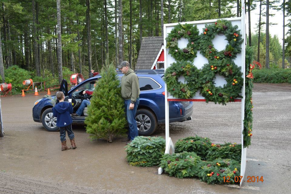Hubert's Christmas Trees: farm photo