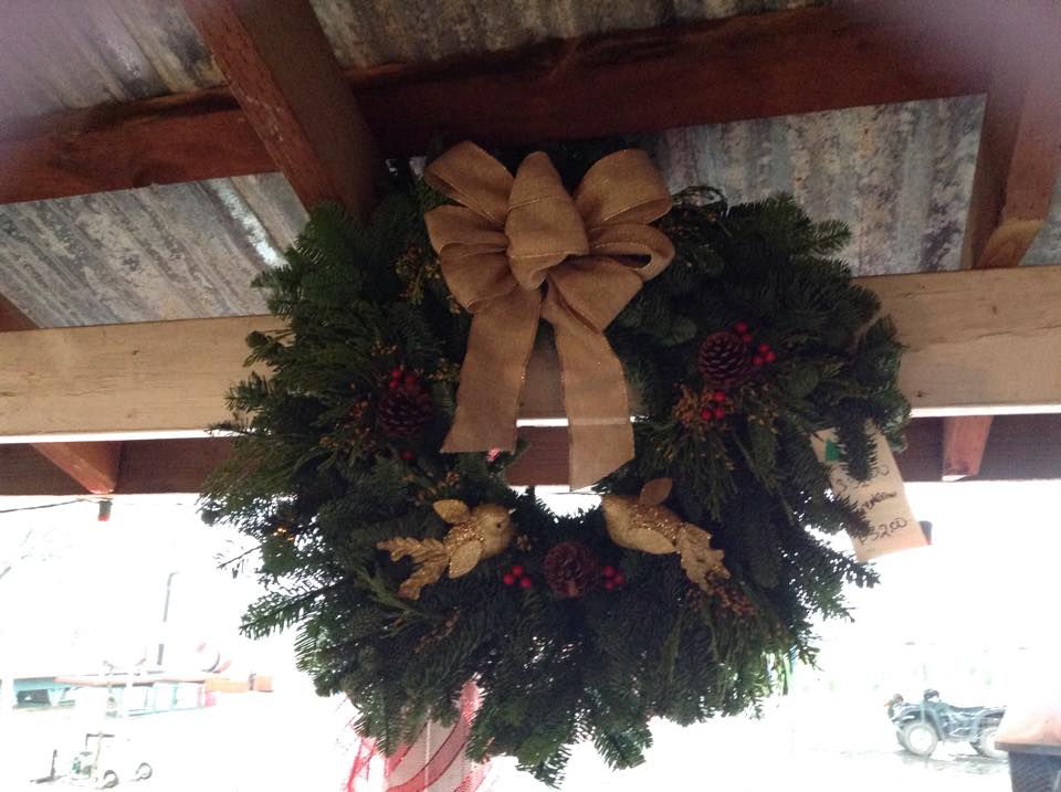 Silveyville Christmas Tree Farm: farm photo