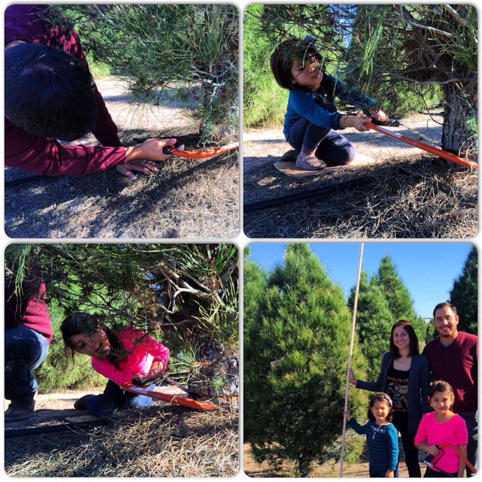 Devine Acres Farm: farm photo