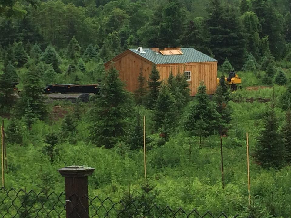 Miller Tree Farm: farm photo