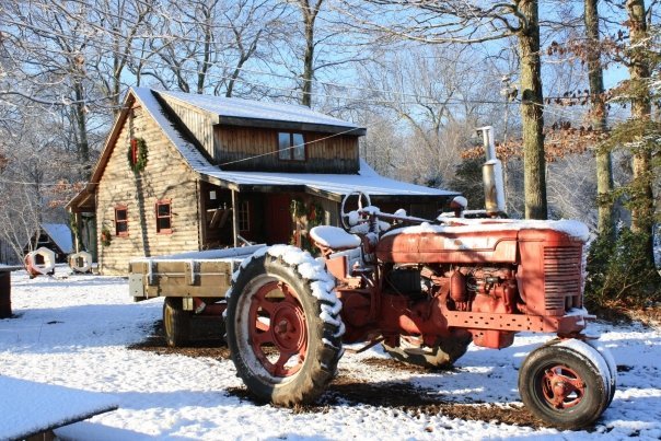 Charlie Brown's Christmas Tree Farm: farm photo