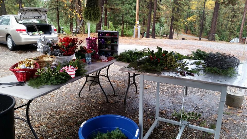 Cal Sierra Tree Farm: farm photo