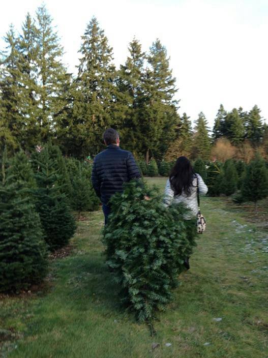 Double Four Tree Farm: farm photo
