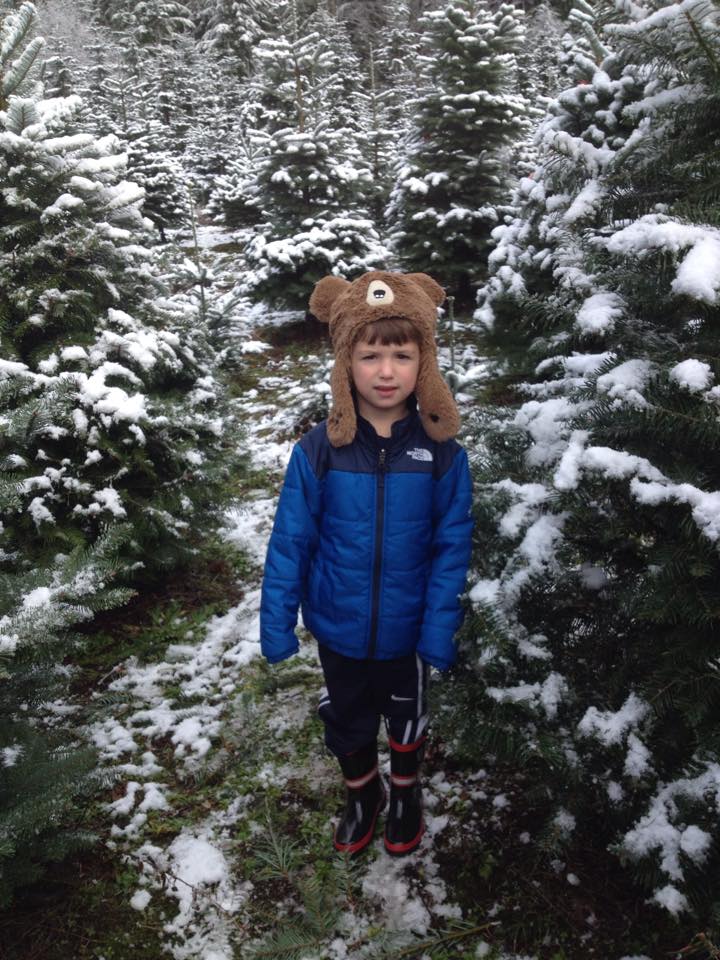 Mountain Creek Christmas Tree Farm: farm photo