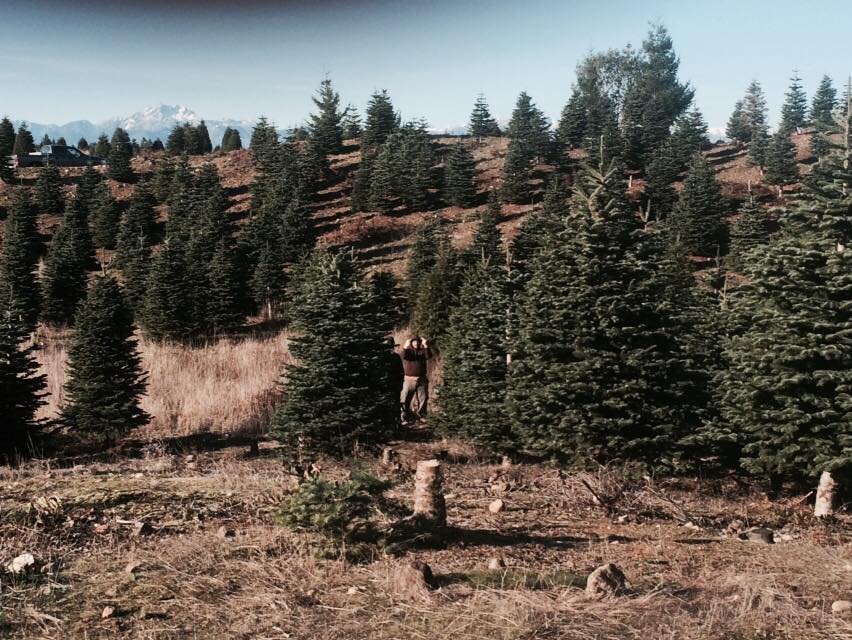 Alpine “U” Cut: farm photo