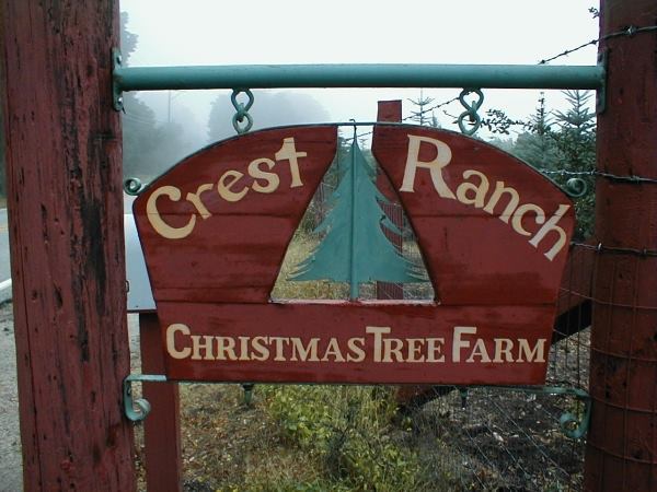 Crest Ranch: farm photo