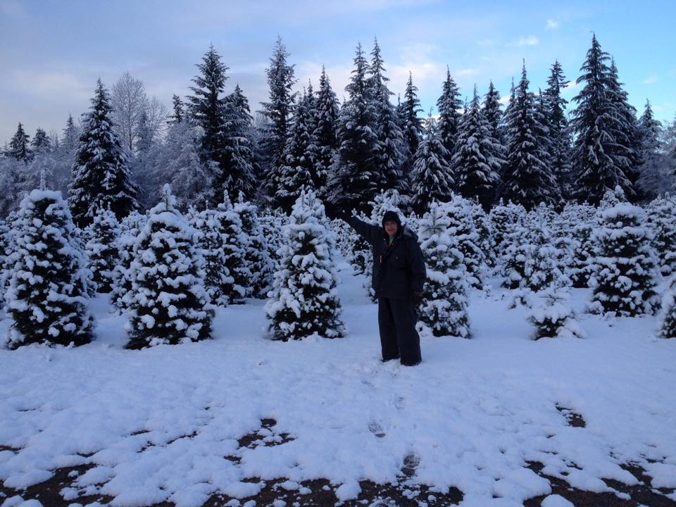Farmer Brown's Christmas Tree Farm: farm photo