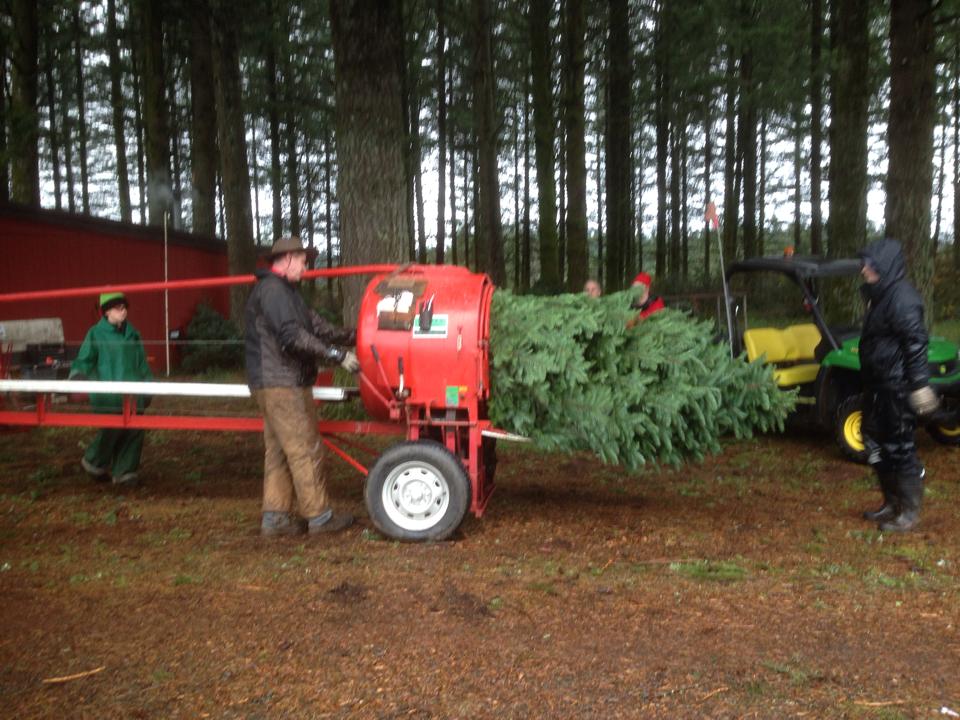 Farrell Farms LLC: farm photo