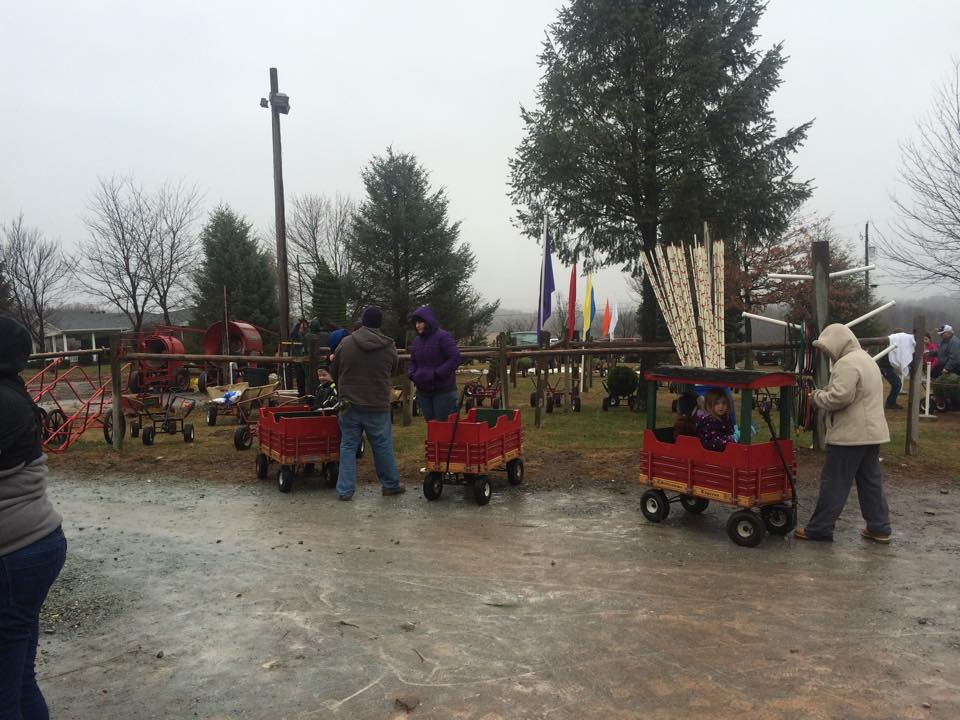 Walker’s Tree Farm: farm photo
