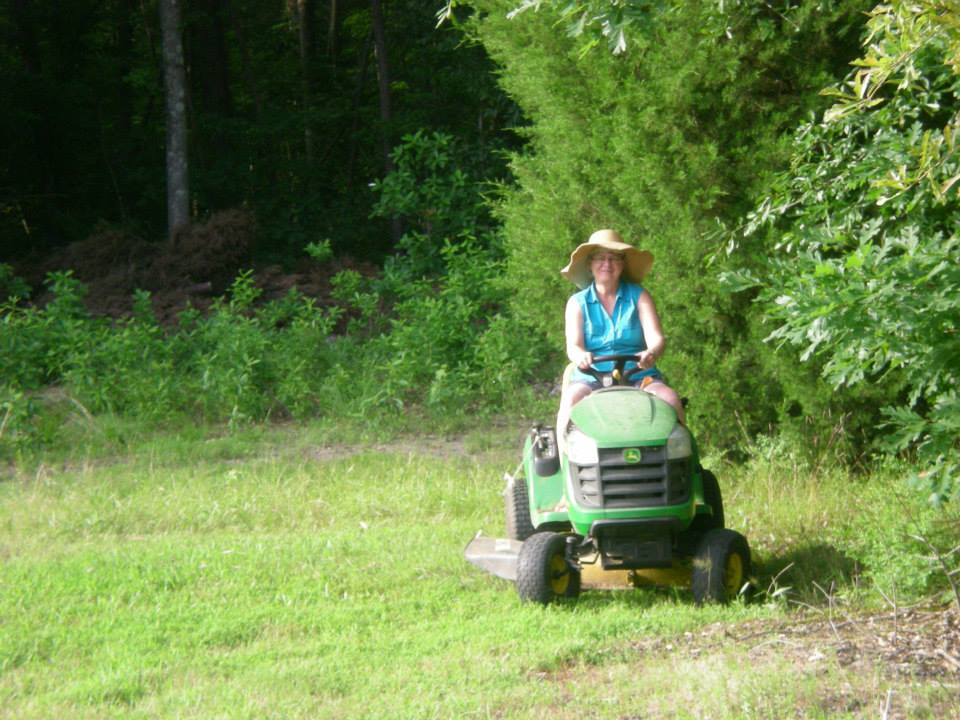 Muddy Creek Christmas Tree Farm: farm photo