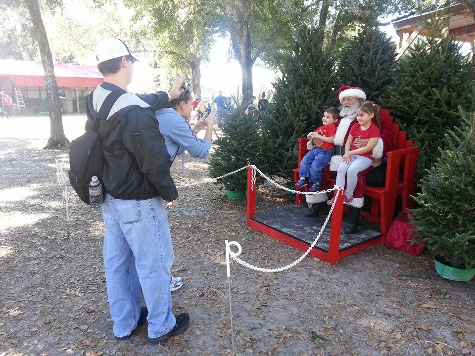 Santa’s Christmas Tree Forest: farm photo