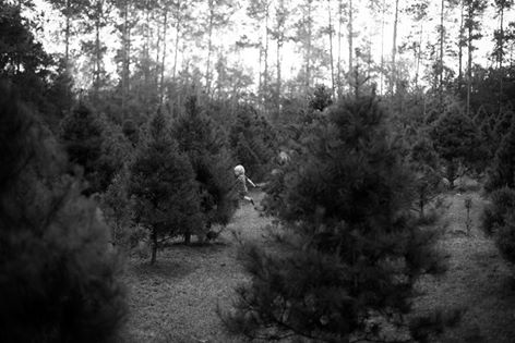 Unicorn Hill Farm: farm photo