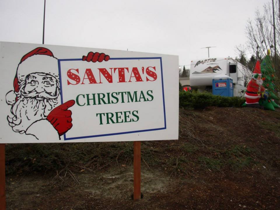 Santa's Christmas Tree's: farm photo