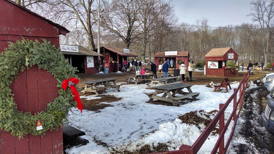 Maple Row Farm: farm photo