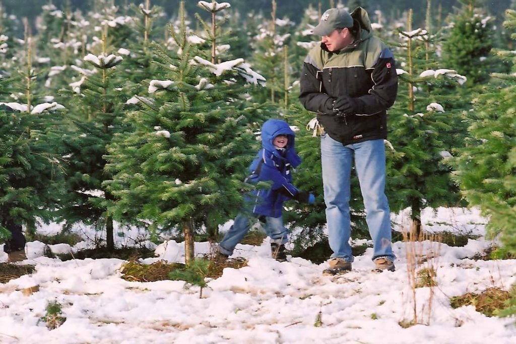 Carnation Tree Farm: farm photo