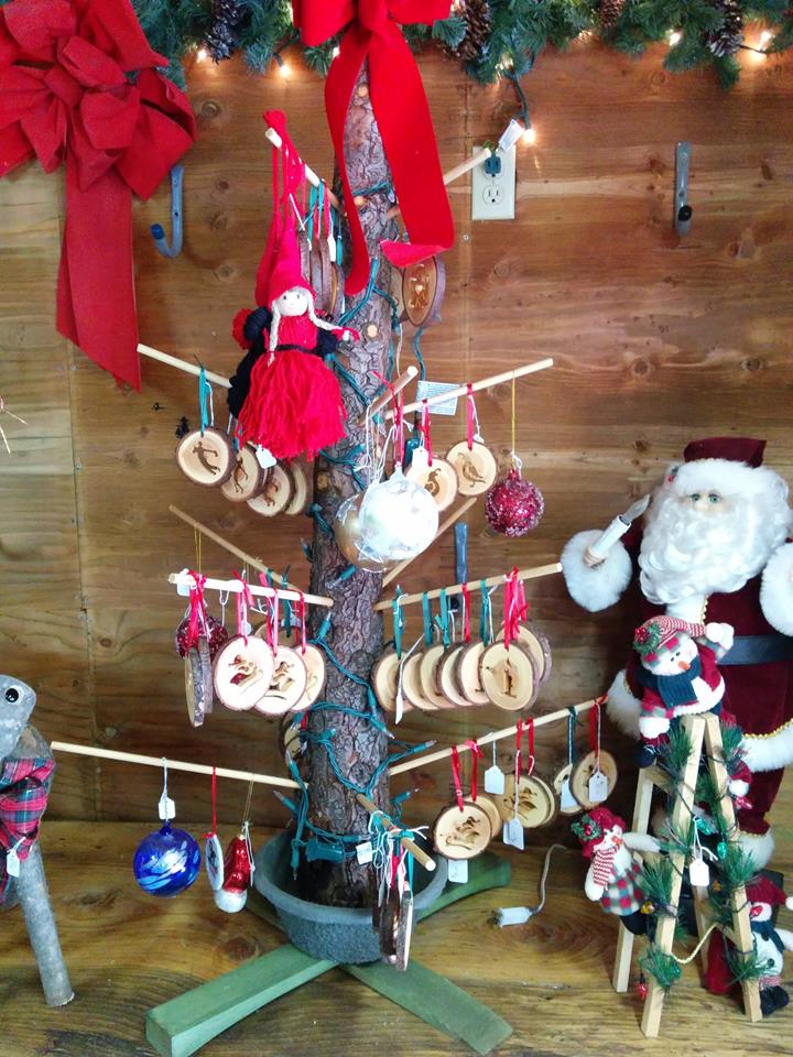 Patchen California Christmas Tree Farm: farm photo