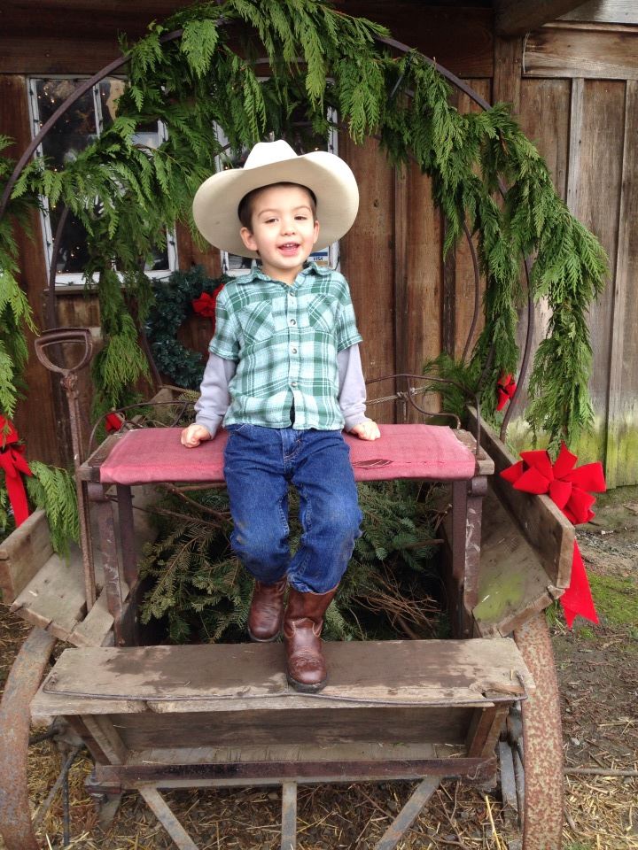 Little Hills Farm at Chapman Lane: farm photo