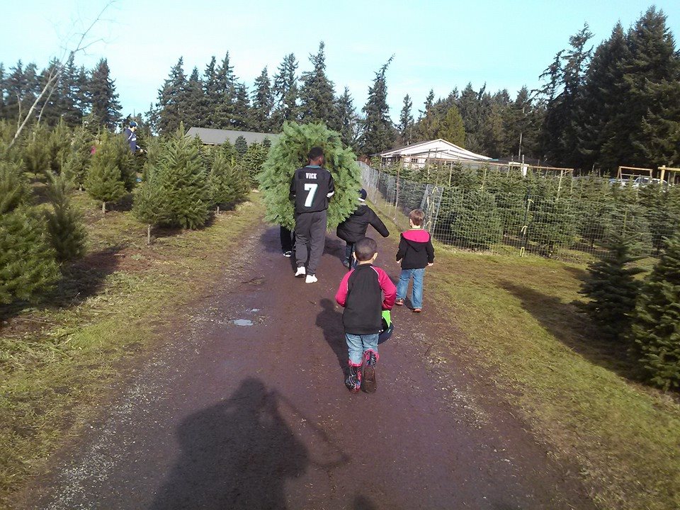 Double Four Tree Farm: farm photo