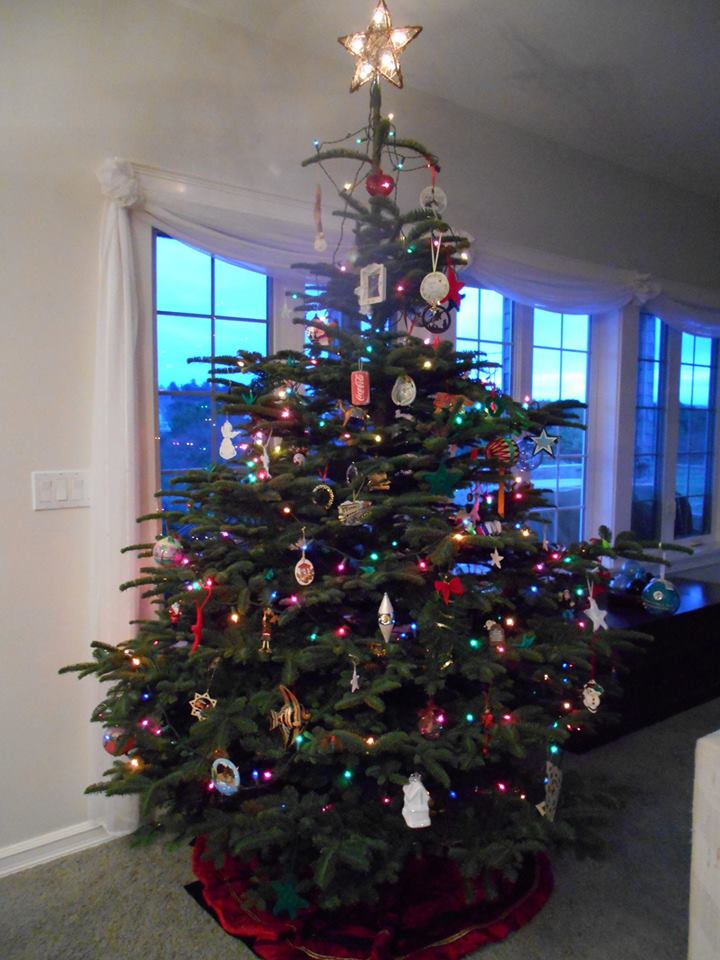 KC's Christmas Tree Farm: farm photo