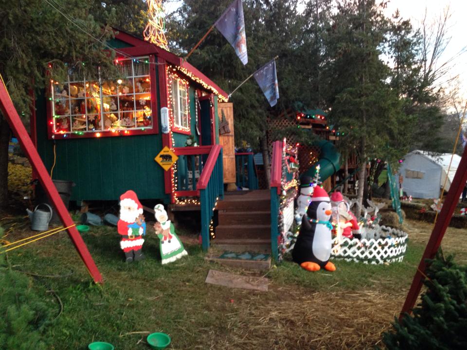 Poppy Lane Christmas Farm: farm photo