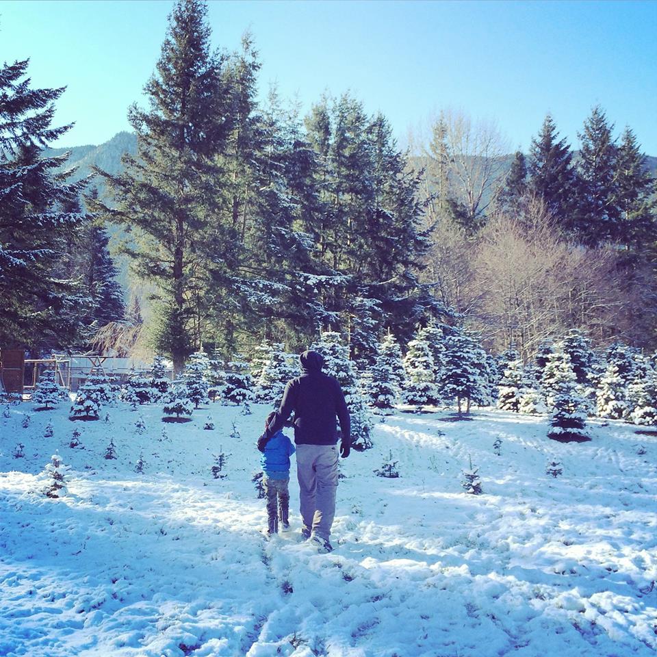 Crown Christmas Tree Farm: farm photo