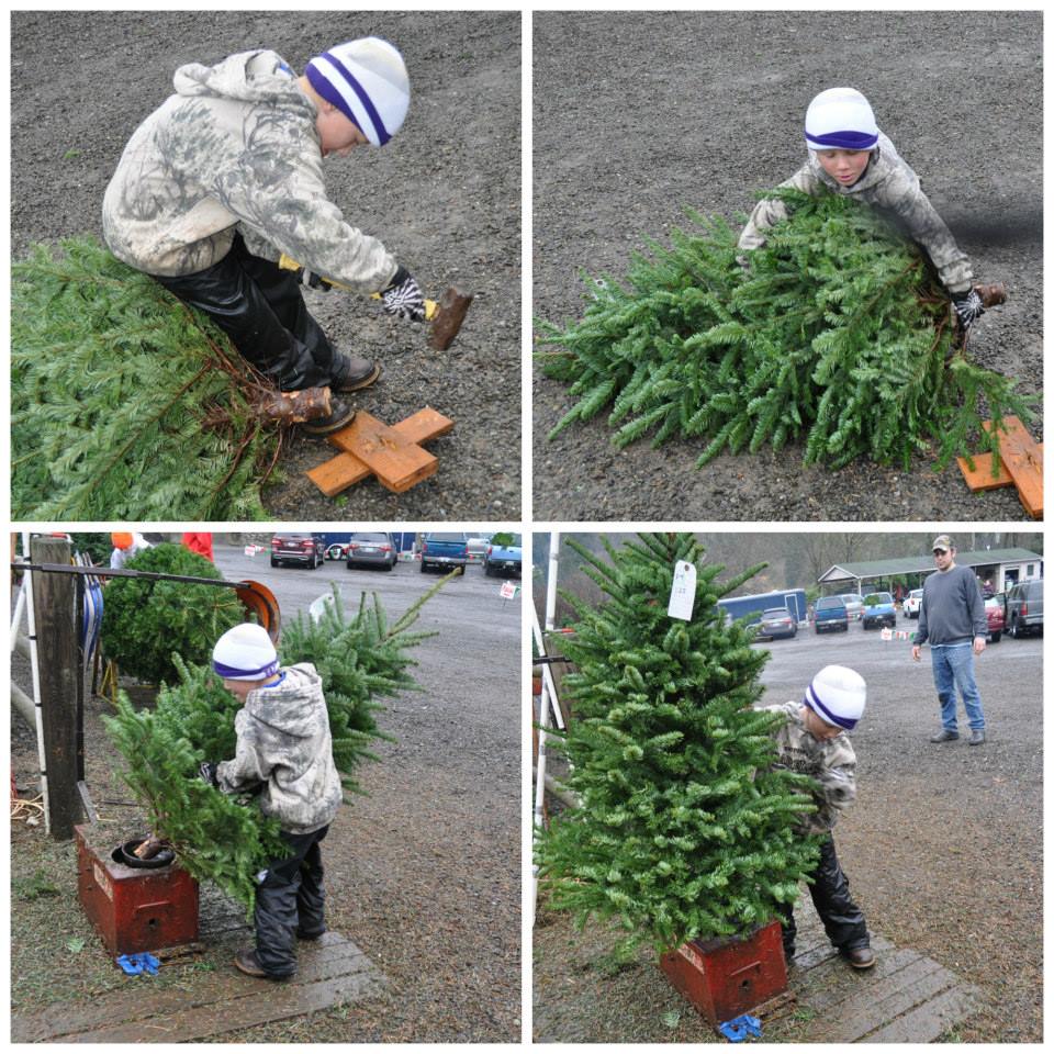 JP Landscape Tree Farm: farm photo