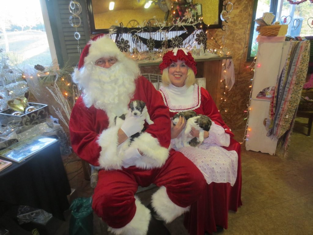 Clyde 'n Dale's Holiday Trees and Gifts: farm photo
