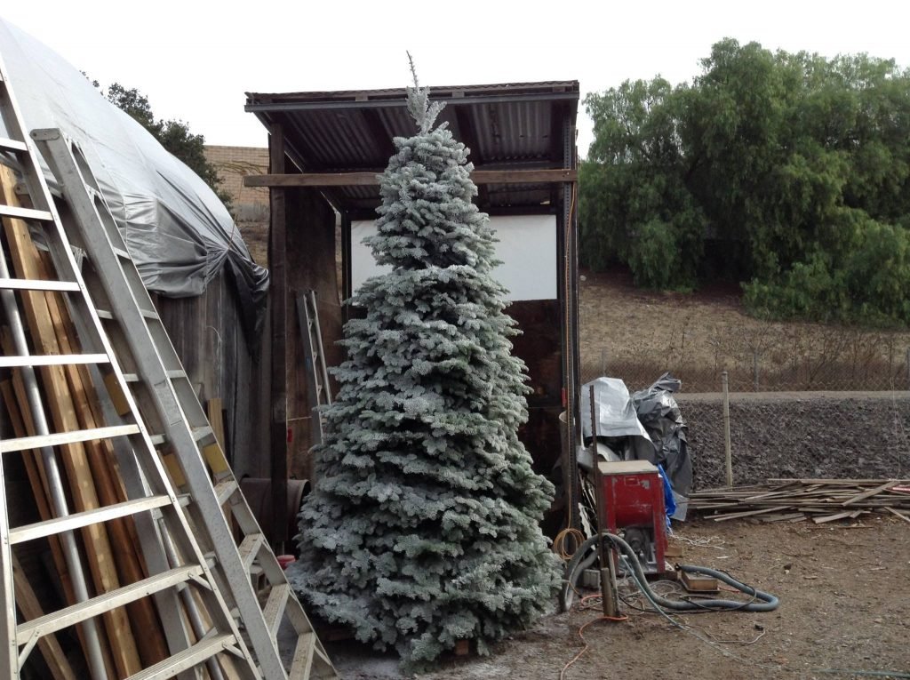 Christmas Ranch Tree Farms – Thousand Oaks: farm photo