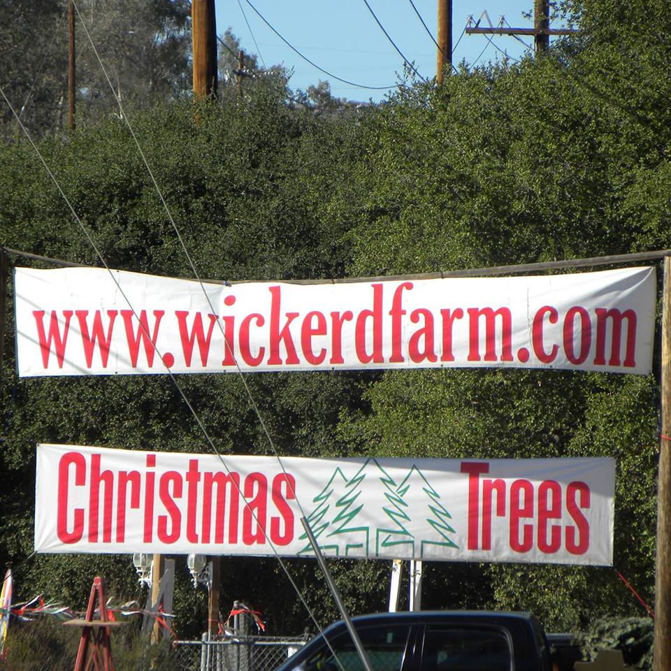 Wickerd Farm: farm photo