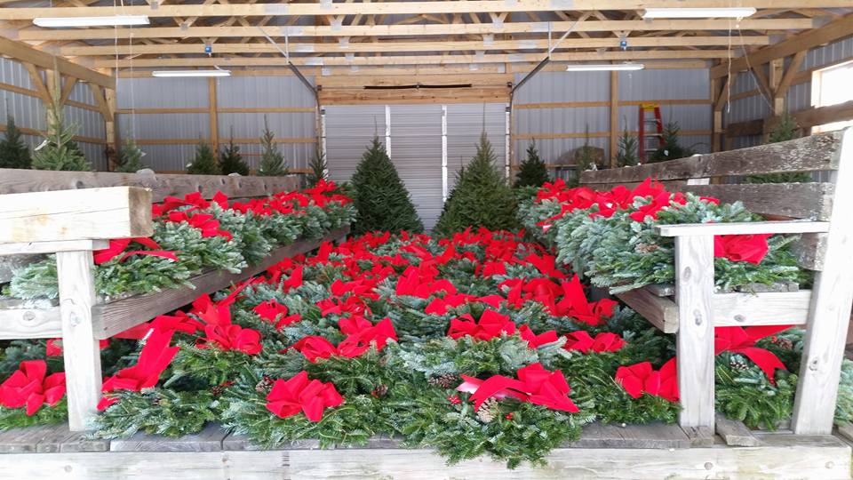 Beckwith Family Christmas Trees & Wreaths: farm photo