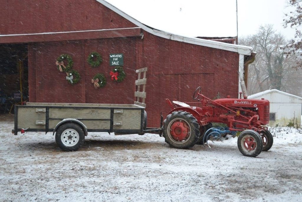 Abe's Tree Farm: farm photo