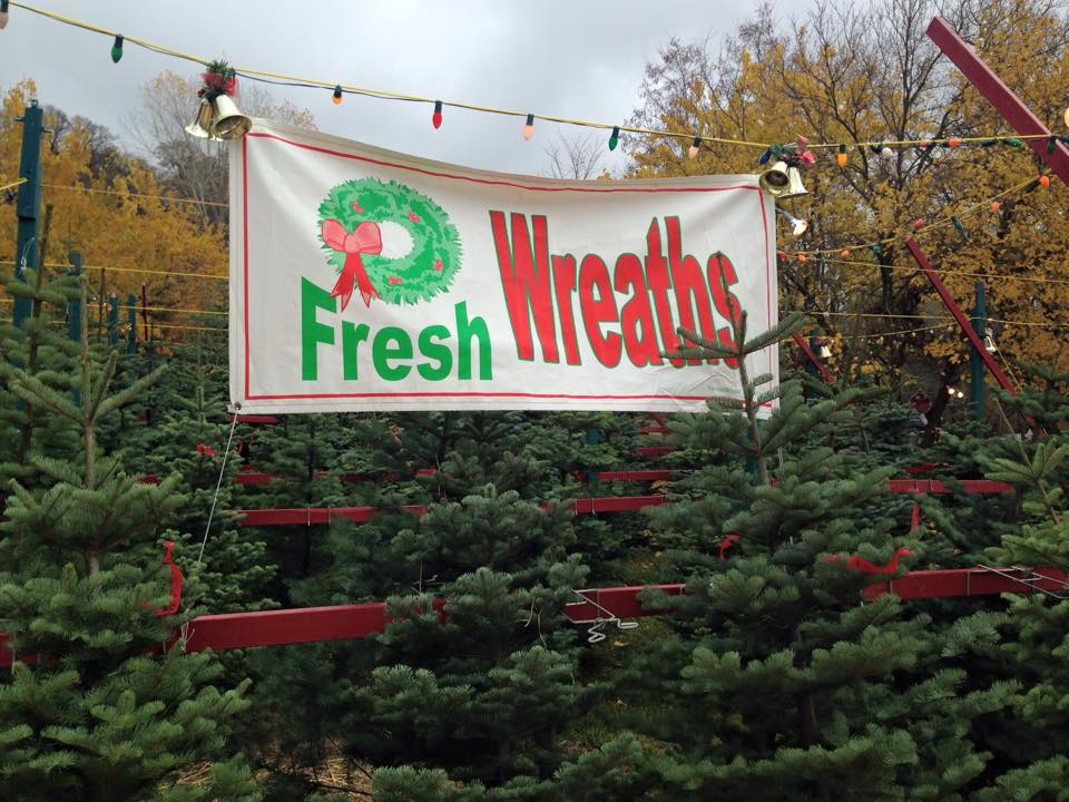 Poppy Lane Christmas Farm: farm photo