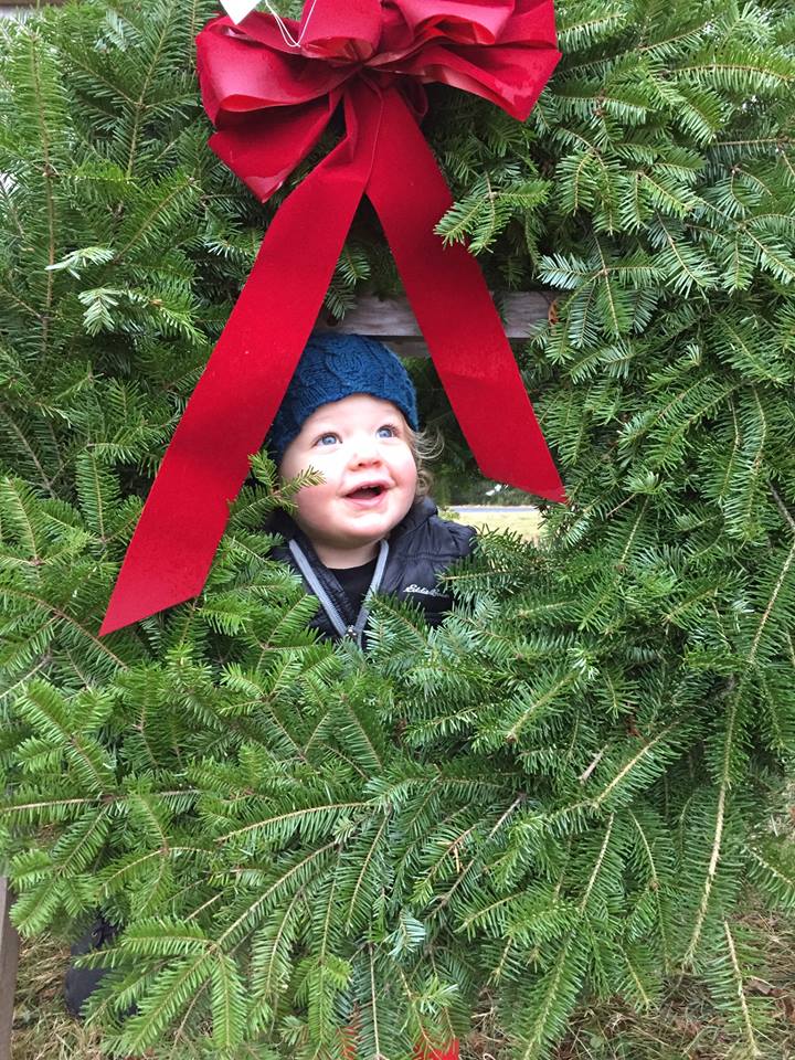 Abel's Trees: farm photo