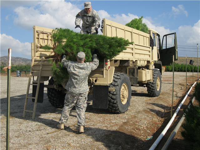 Peltzer Pines – Silverado Tree Farm: farm photo