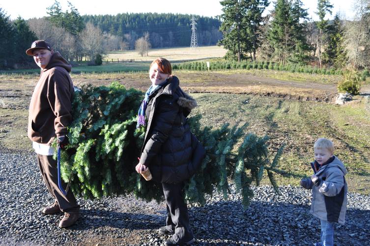 Holiday U-Cut Christmas Trees: farm photo
