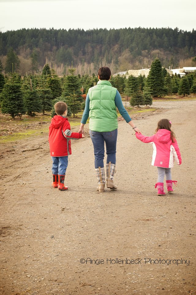 Schilter Family Farm: farm photo