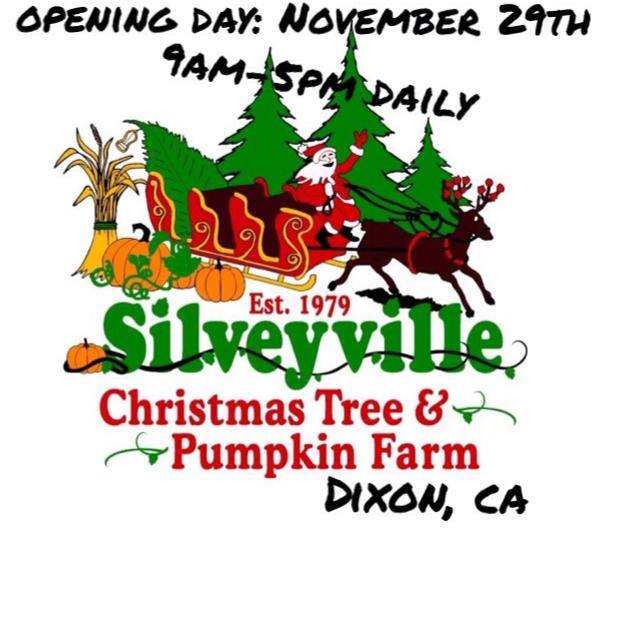 Silveyville Christmas Tree Farm: farm photo