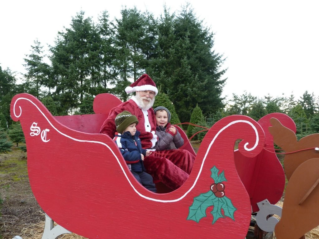Larwick U-cut Christmas Tree Farm: farm photo