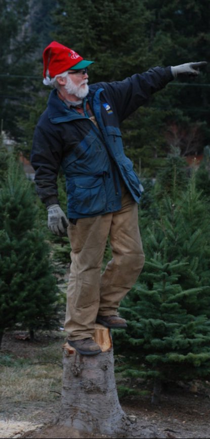 Wilson Hill Tree Farm & Nursery: farm photo