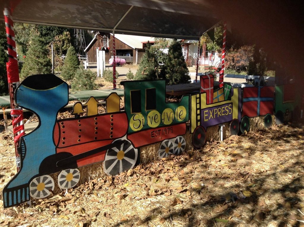 Silveyville Christmas Tree Farm: farm photo