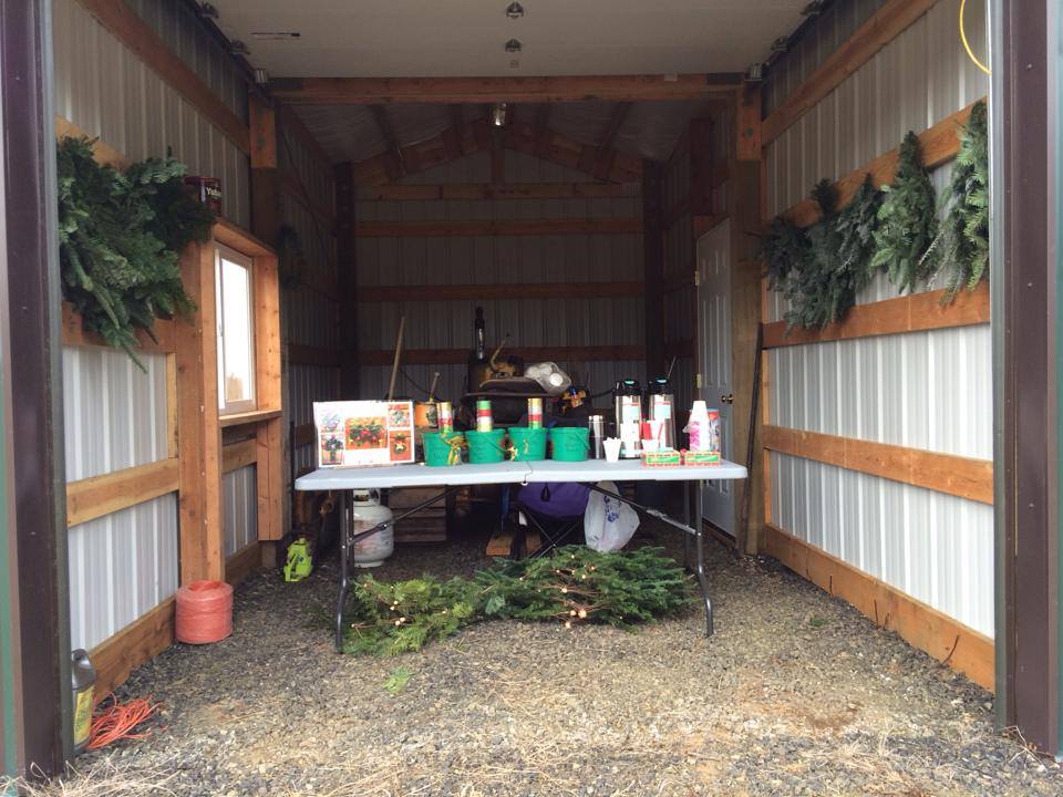 KC's Christmas Tree Farm: farm photo