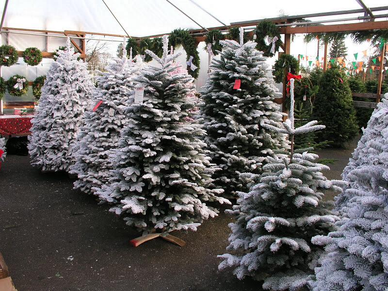 Bobz Garden Center: farm photo