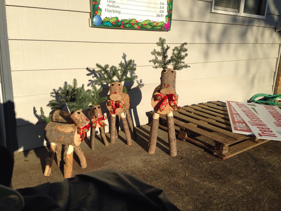 The Tree Wisemans Christmas tree farm: farm photo