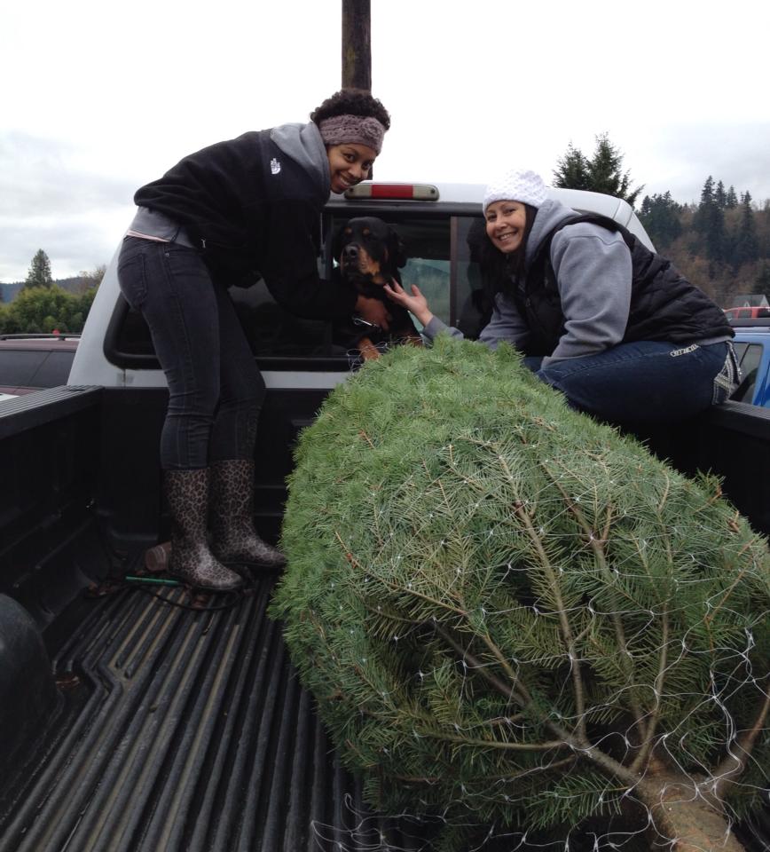 Snowshow Evergreen U-Cut Christmas Trees Farm: farm photo