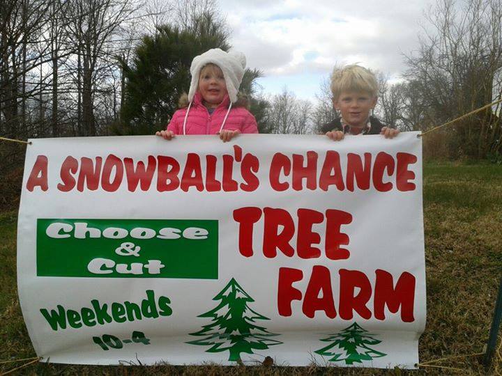 A Snowball's Chance Tree Farm: farm photo