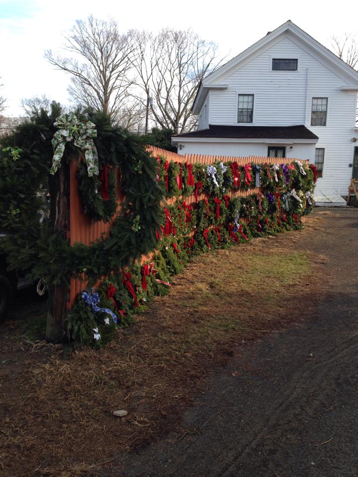 Schrempp's Christmas Tree Farm: farm photo